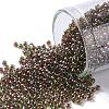 TOHO Round Seed Beads SEED-JPTR11-0250-1