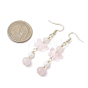 Natural Beads Dangle Earrings EJEW-JE06317-5