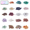 19Pcs Various Gemstone No Hole Chips in Bottles G-PH0034-50-5