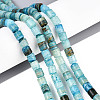 Dyed Natural Afghan Jade Beads Strands G-T141-93A-1
