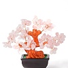 Natural Rose QuartzChips Money Tree Bonsai Display Decorations DJEW-B007-08F-2