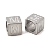 304 Stainless Steel European Beads STAS-D382-02M-P-1