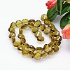 Faceted Flat Round Imitation Austrian Crystal Bead Strands G-M193-10mm-19A-2