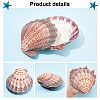 Natural Lion's Paw Sea Scallops AJEW-WH0041-69-4