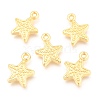 Alloy Pendants PALLOY-B024-40G-1