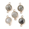 Natural Labradorite Connector Charms G-C102-09E-G-1