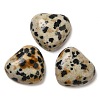 Natural Dalmatian Jasper Cabochons G-F776-02A-22-1