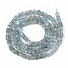 Natural Apatite Beads Strands G-S362-003-2