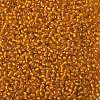 TOHO Round Seed Beads SEED-JPTR08-0030F-2