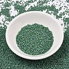 MIYUKI Delica Beads SEED-J020-DB2311-2