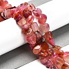Natural Dragon Veins Agate Beads Strands G-NH0018-B02-01-2