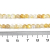 Natural Shell Pearl Beads Strands BSHE-H109-12B-5
