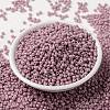 MIYUKI Round Rocailles Beads SEED-JP0009-RR0599-2