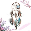 Iron & Cotton Woven Net/Web with Feather Hanging Decorations PW-WG94398-01-1