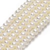 Natural Cultured Freshwater Pearl Beads Strands PEAR-A005-03A-01-1