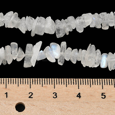 Natural Rainbow Moonstone Chip Beads Strands X-G-C195-01-1