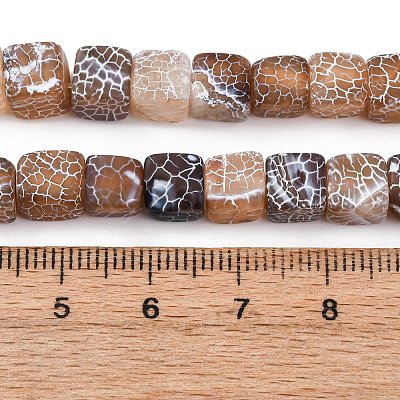 Natural Weathered Agate Beads Strands G-NH0038-01C-1