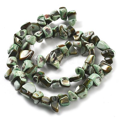 Dyed Natural Trochus Shell Beads Strands BSHE-Z006-01A-1