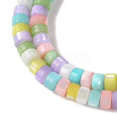 Natural Trochid Shell/Trochus Shell Beads Strands BSHE-H018-04-1