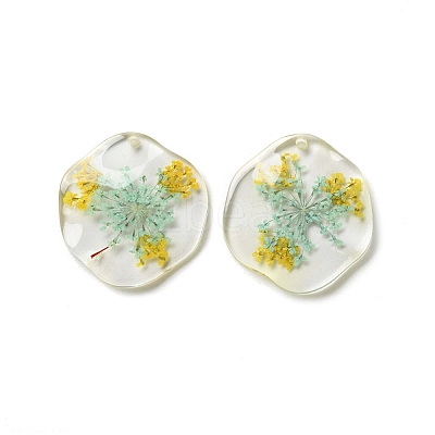 Inner Dried Flower Transparent Resin Pendants RESI-A043-04C-1