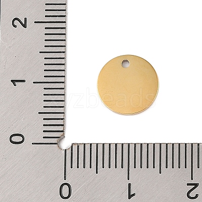 304 Stainless Steel Charms STAS-P377-04G-A-1