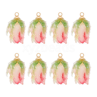 10Pcs Transparent Acrylic Pendants SACR-TA0001-66B-1