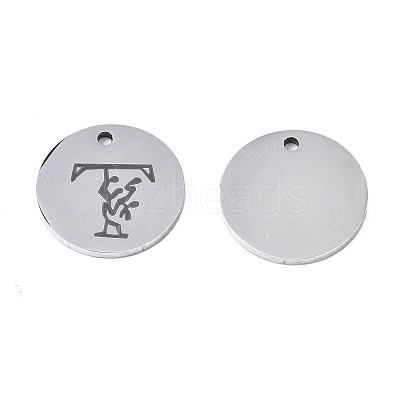 Non-Tarnish 304 Stainless Steel Charms LS-STAS-T059-26P-T-1