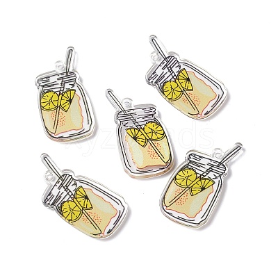 Transparent Printed Acrylic Pendants TACR-G042-01D-1