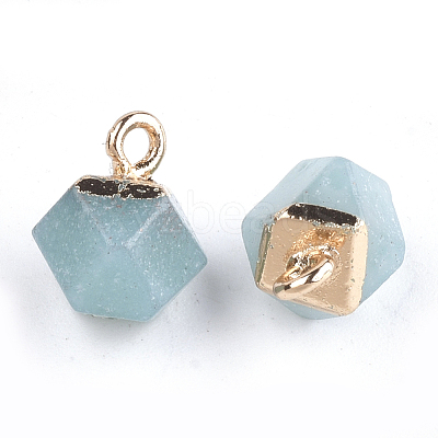 Electroplate Natural Amazonite Charms X-G-S344-08F-1