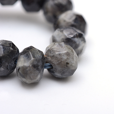 Faceted Rondelle Dyed Natural Sesame Jasper/Kiwi Jasper Bead Strands X-G-R343-6x8-20-1