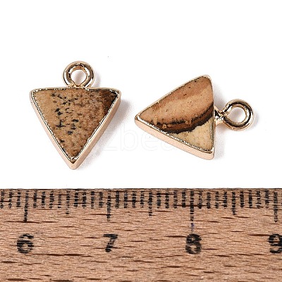Natural Picture Jasper Pendants G-Q606-103G-04-1
