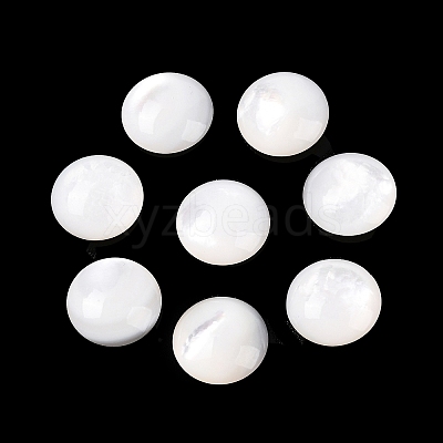 Natural White Shell Beads SSHEL-B006-03-1