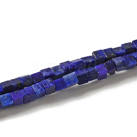 Natural Lapis Lazuli Dyed Beads Strands G-B064-A20-1