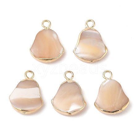 Natural Trochous Shell Pendants SHEL-P017-11G-1