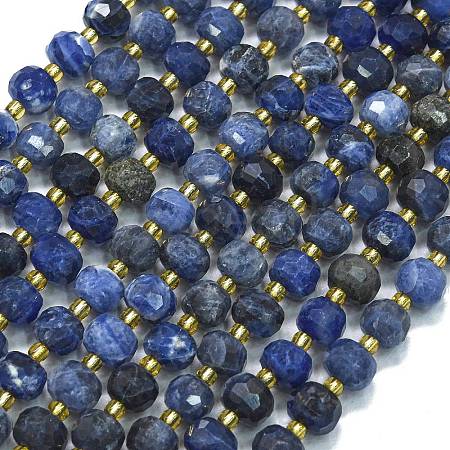 Natural Sodalite Beads Strands G-K389-E74-01B-1