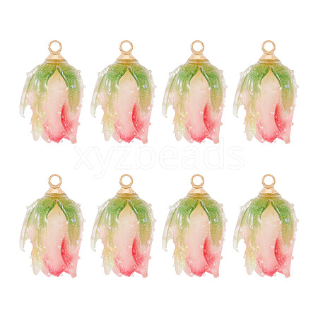 10Pcs Transparent Acrylic Pendants SACR-TA0001-66B-1