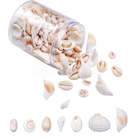 Beadthoven DIY Natural Shell Jewelry Making Finding Kits DIY-BT0001-37-1