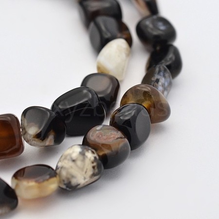 Natural Black Agate Bead Strands G-P070-34-1