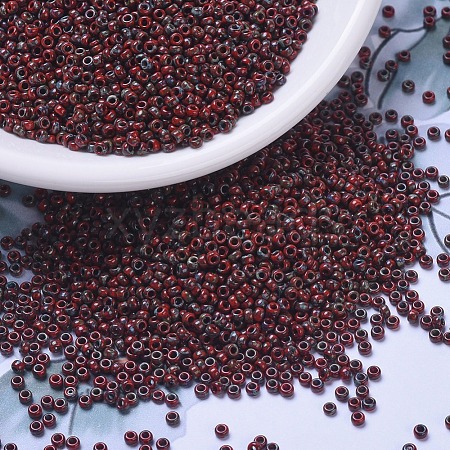 MIYUKI Round Rocailles Beads SEED-G007-RR4513-1