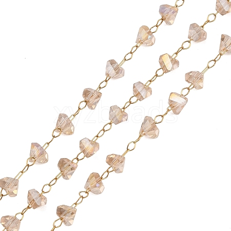 Glass & 304 Stainless Steel Beaded Chains SA-CBAD321-04B-1