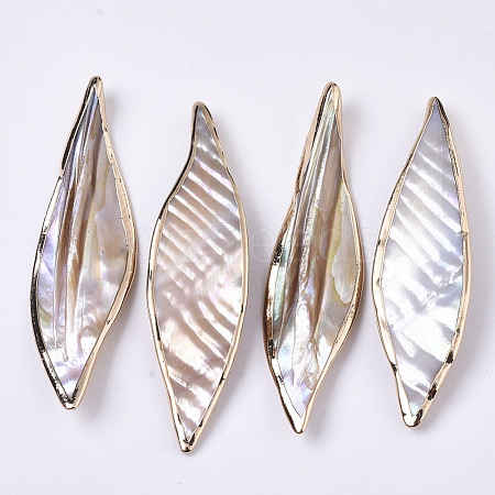 Natural Freshwater Shell Big Pendants X-SHEL-R047-04-1