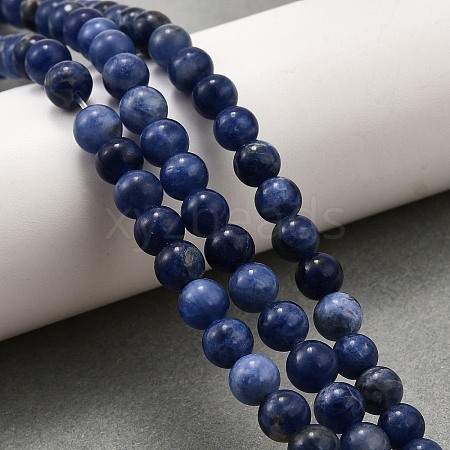 Natural Sodalite Round Bead Strands G-P072-27-6mm-1