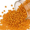 TOHO Round Seed Beads X-SEED-TR11-0030F-1