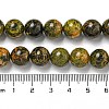 Natural Bumblebee Jasper Beads Strands G-P544-A03-02-5