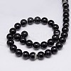 Natural Black Agate Beads Strands G-G582-10mm-07-2