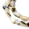 Natural Black Lip Shell Beads Strands SHEL-G020-04-3