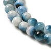 Natural Blue Ice Glacierite Stone Beads Strands G-G078-A01-05-3