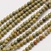 Natural Silver Leaf Jasper Round Beads Strands G-A130-2mm-C02-1