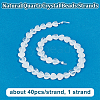 1 Strand Natural Quartz Crystal Beads Strands G-OC0005-76-4