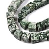 Natural Green Spot Jasper Beads Strands G-T139-8x8-23A-3